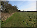 Field near Parsonage Farm