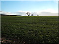 Farmland off the B6279