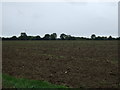 Field near Westhouse Cottages