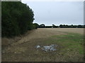 Stubble field beside woodland, Clay Hills