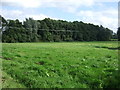 Farmland towards woodland