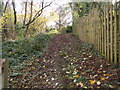 Footpath - Langwith Valley Road