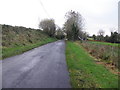 Drumsloe Road, Cavanalough Glebe