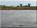 SE5224 : South bank of the River Aire at Kellingley Scalp by Christine Johnstone