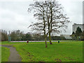 Tennis courts, Montrose Playing Fields