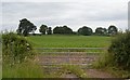 Farmland by Shenton Lane