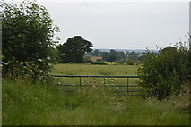 SK3901 : Farmland by Coton Lane by N Chadwick