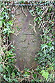 Benchmark on gatepost, Stainton Road