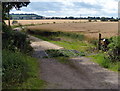 Entrance to Norton Lodge Farm