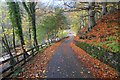 Road into Bolton Gill