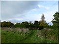 Reaching Thorley Manor on the footpath from Hill Place Lane