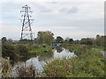 ST2426 : Bridgwater & Taunton Canal approaching Bathpool by Chris Allen
