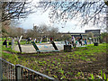 Skateboard Park, Meanwhile Gardens