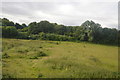 Farmland on the edge of Lewes