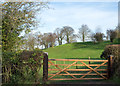 Trees in field beyond new gate