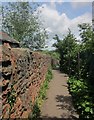 Path to the City Farm