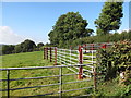 Sheep pens in field next to Mountview Road