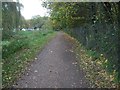 Path beside Cove Brook