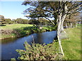 Footbridge over the Afon Dwyfor