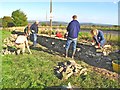 Repairing dry stone wall at Hoylandswaine