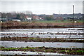 SD3414 : Flooded field, Blowick Moss by Mike Pennington