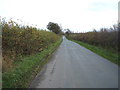 Minor road towards North Cowton