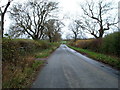 Minor road towards North Cowton