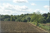 SP9960 : Farmland near Francroft Wood by N Chadwick