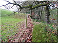 Ripponden FP83 alongside Sandyfoot Clough, Barkisland