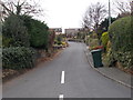 Stafford Hill Lane - Lane Side