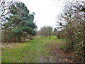 Path from Silver Jubilee Park towards Welsh Harp