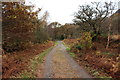 Track to Loch Trool Car Park