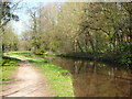 Bends in the Monmouthshire and Brecon Canal at Pencelli