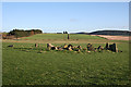 Yonder Bognie Recumbent Stone Circle (1)