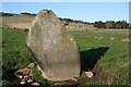 Yonder Bognie Recumbent Stone Circle (5)