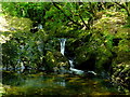 V9257 : Waterfall in Glengarriff Forest by Jonathan Billinger