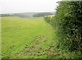 Byway into Cranborne Chase