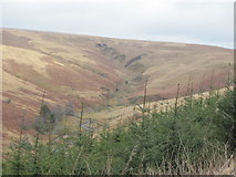 SO0114 : View up Cwm Llysiog by John Light