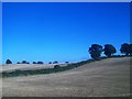 Croplands between Clough and Dundrum