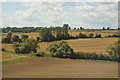 Farmland near Irchester