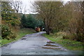 Track to Lark Hill Farm, Formby