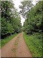 Track, Wakesdean Wood