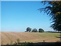 Cropland above Cottage Road, Seaforde