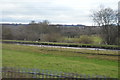 Trent & Mersey Canal