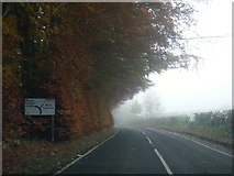 NY8362 : A686 westbound near Langley Castle by Colin Pyle