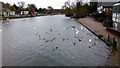 TL0549 : River Great Ouse, Bedford by PAUL FARMER