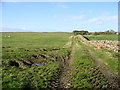 Farm track near Hury