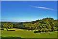 Garn Wood, Llanychaer