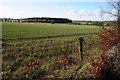 SP0305 : Farmland beside the Welsh Way by Philip Halling