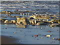 Sanderlings on North Sands...